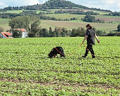 Faehrtentag_2017_16_09_068