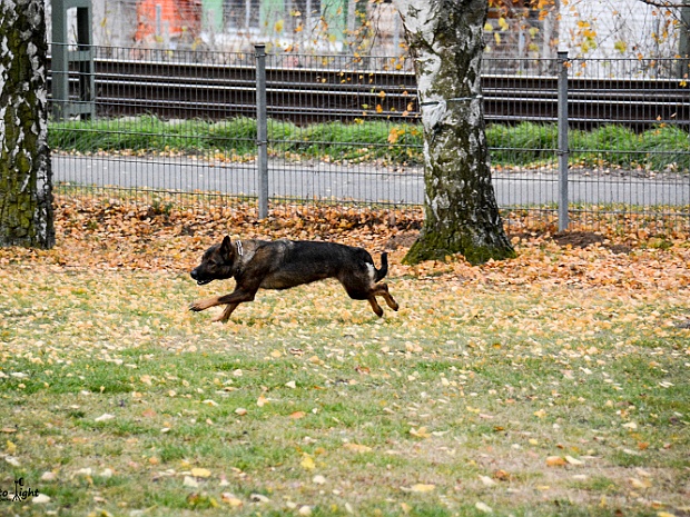 Herbstpruefung