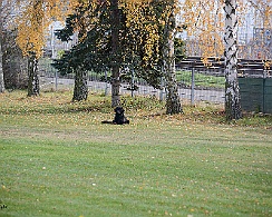 DSC_5984