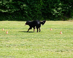 DSC_2725