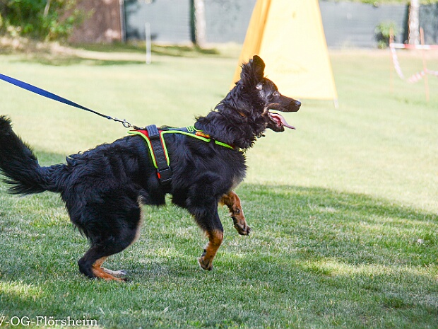 Trainingswochenende Mai