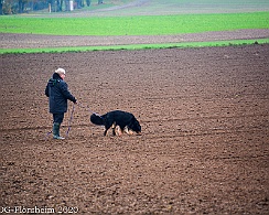 Herbstpruefung_2020_11_01DSC_6508