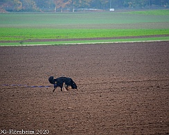 Herbstpruefung_2020_11_01DSC_6509