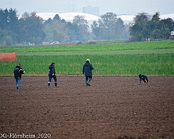 Herbstpruefung_2020_11_01DSC_6512