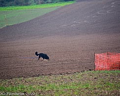 Herbstpruefung_2020_11_01DSC_6515