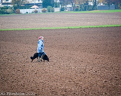 Herbstpruefung_2020_11_01DSC_6517