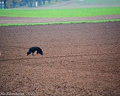Herbstpruefung_2020_11_01DSC_6518
