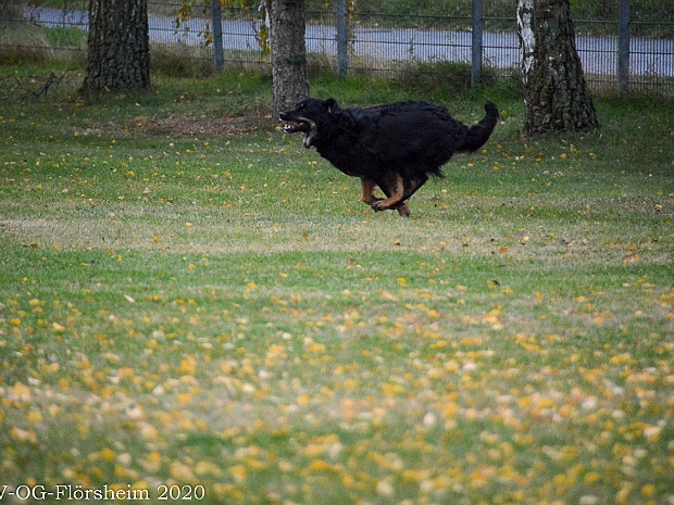 Herbstpruefung
