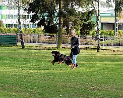 IMG_5499 (2)
