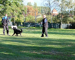 IMG_5513