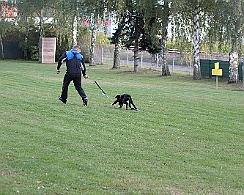 IMG_5537