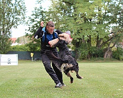 IMG_5571