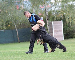 IMG_5584
