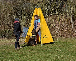DSC_9933