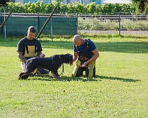 Trainingswochenende_August_2023_DSC_5510-2023 08 05