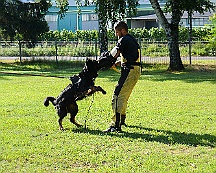 Trainingswochenende_August_2023_DSC_5527-2023 08 05