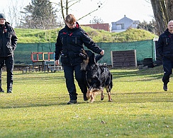 Workshop_Steffi_Ollmann_DSC_3416-2023 03 11