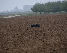 Herbstpruefung_Oktober_2024_013-20241027-181022