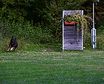 ABC_Trainingswochenende_Oktober_2025_DSC_7299-20251019