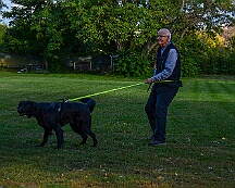 ABC_Trainingswochenende_Oktober_2025_DSC_7318-20251019