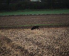 Fruehjahrspruefung_Maerz_2026_FD1A7373-20260314