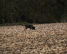 Fruehjahrspruefung_Maerz_2026_FD1A7380-20260314