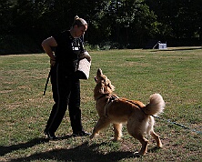 C_Trainingswochenende_Juli_2026_FD1A9305