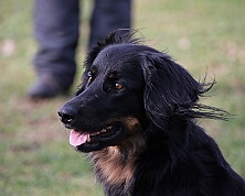 Workshop_Ollmann_Maerz_2026_FD1A6388-20260228